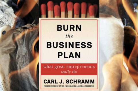 Burn the Business Plan