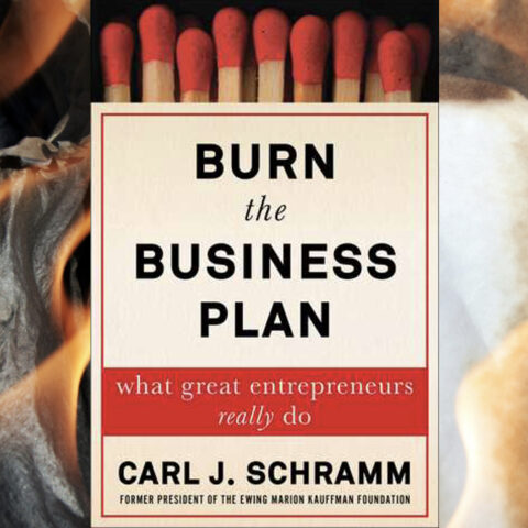 Burn the Business Plan